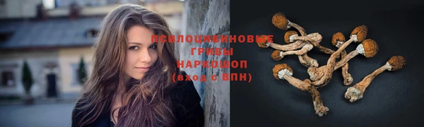 прущий лед Балахна